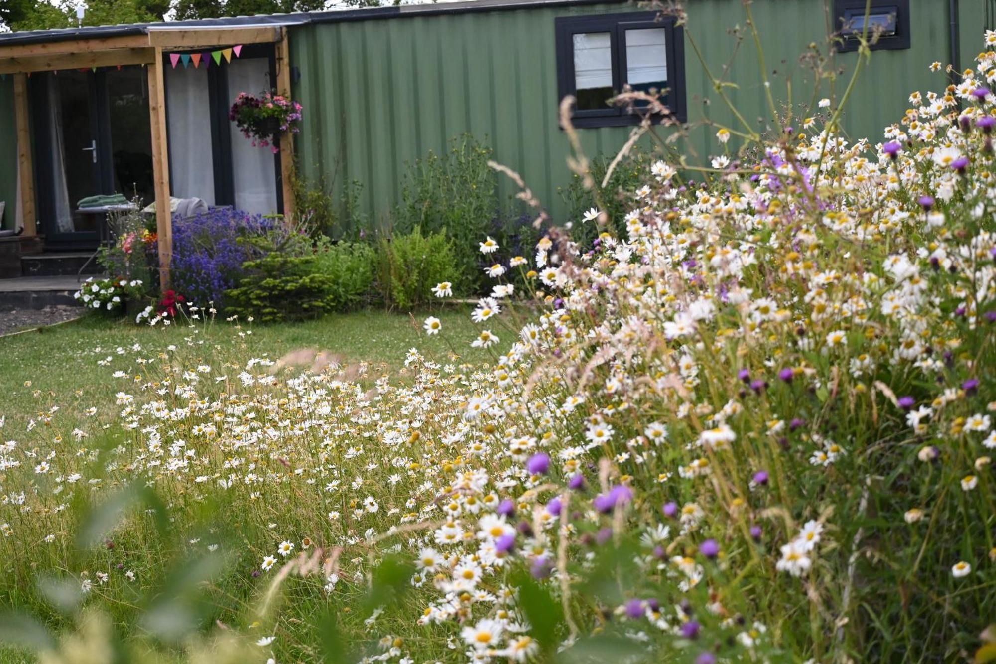 Sweet Pea Cabin Badsey Exteriér fotografie