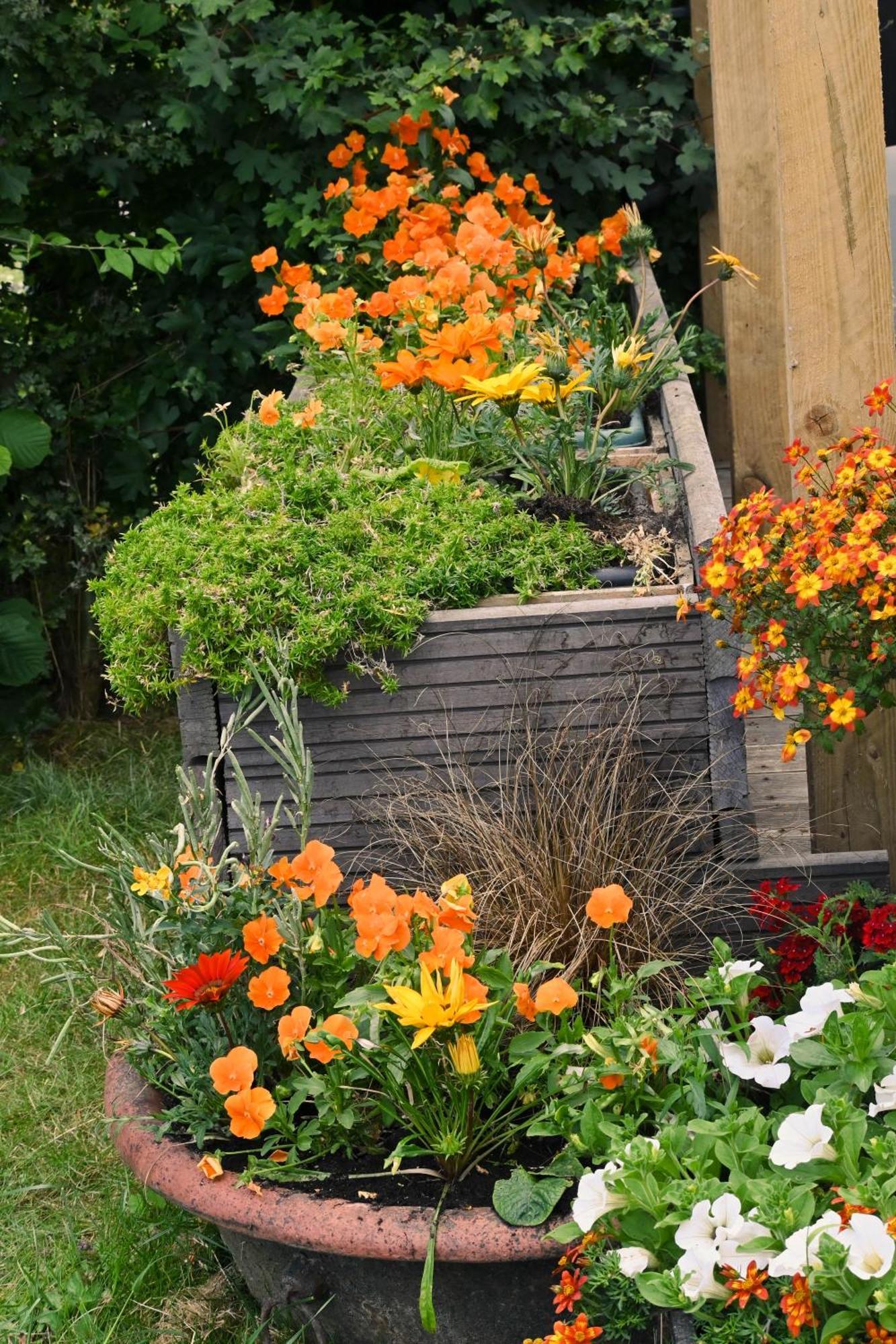 Sweet Pea Cabin Badsey Exteriér fotografie